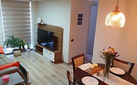 Dpto full equipado,dormitorio en suite en Valdivia